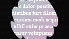 CSS Spotlight Effect thumbnail